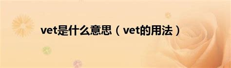 vet是什么意思？