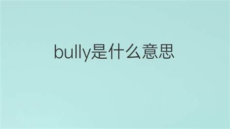 bully是什么意思