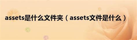 Capital与Assets有什么区别？
